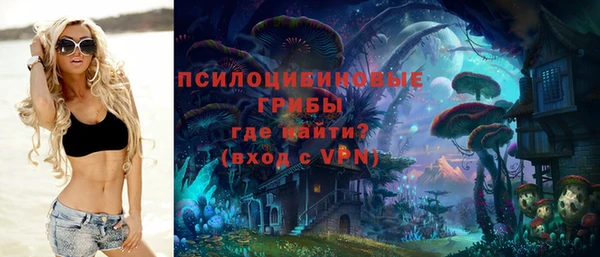 ГАЛЛЮЦИНОГЕННЫЕ ГРИБЫ Балабаново