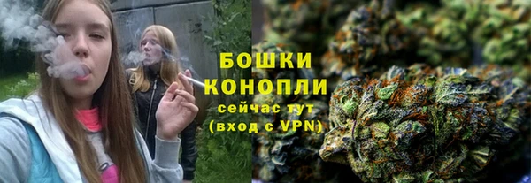 ГАЛЛЮЦИНОГЕННЫЕ ГРИБЫ Балабаново