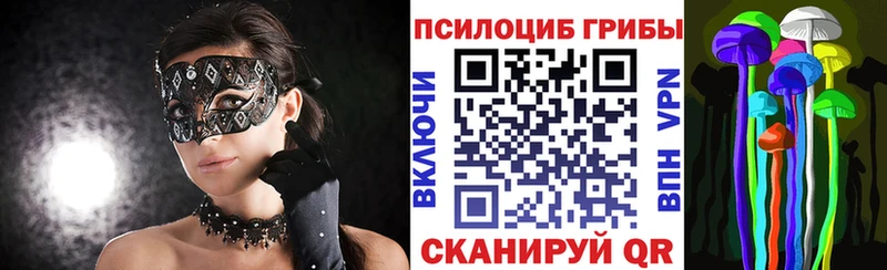 закладки  Гурьевск  Псилоцибиновые грибы Psilocybine cubensis 